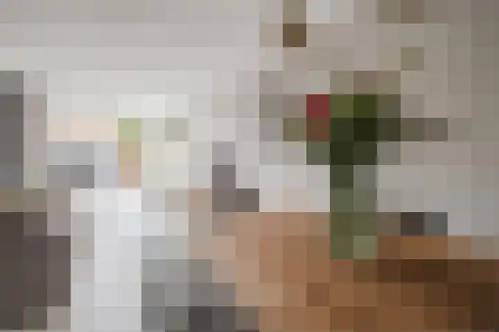 Draaitor 9 Hengelo thumbnail 10