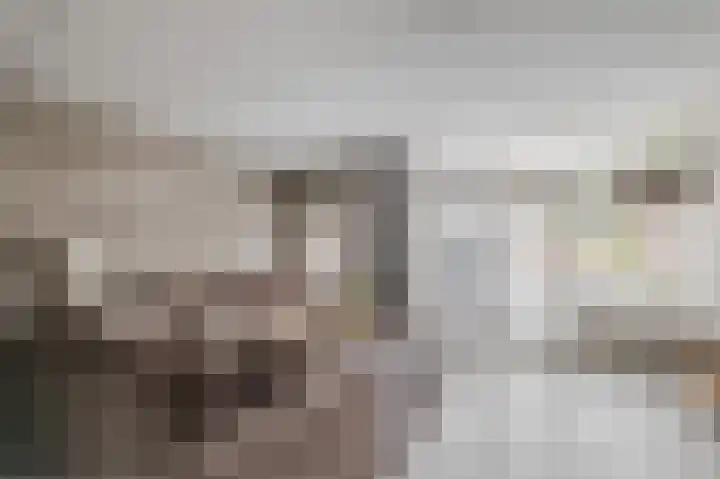 Draaitor 9 Hengelo thumbnail 11