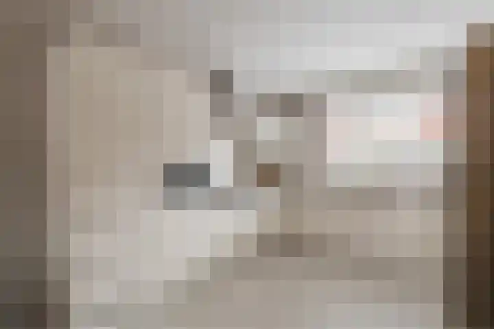 Draaitor 9 Hengelo thumbnail 12