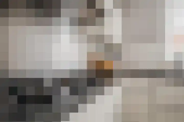 Draaitor 9 Hengelo thumbnail 13