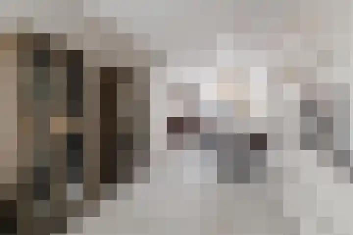 Draaitor 9 Hengelo thumbnail 15