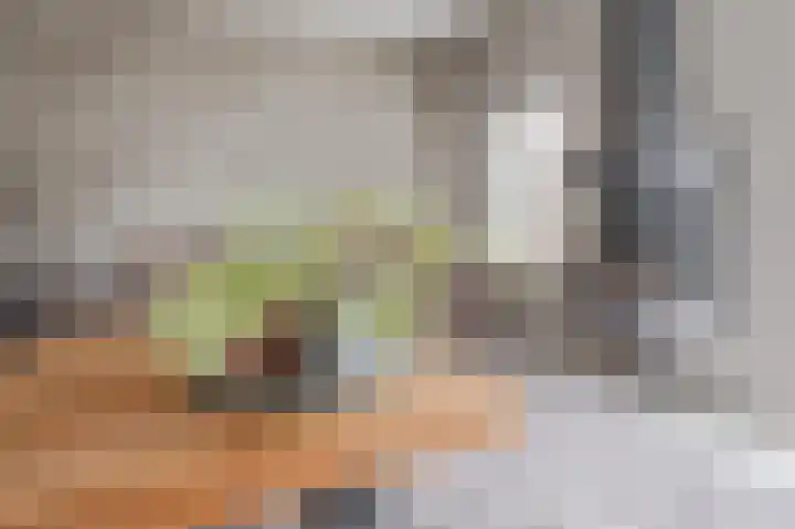 Draaitor 9 Hengelo thumbnail 16