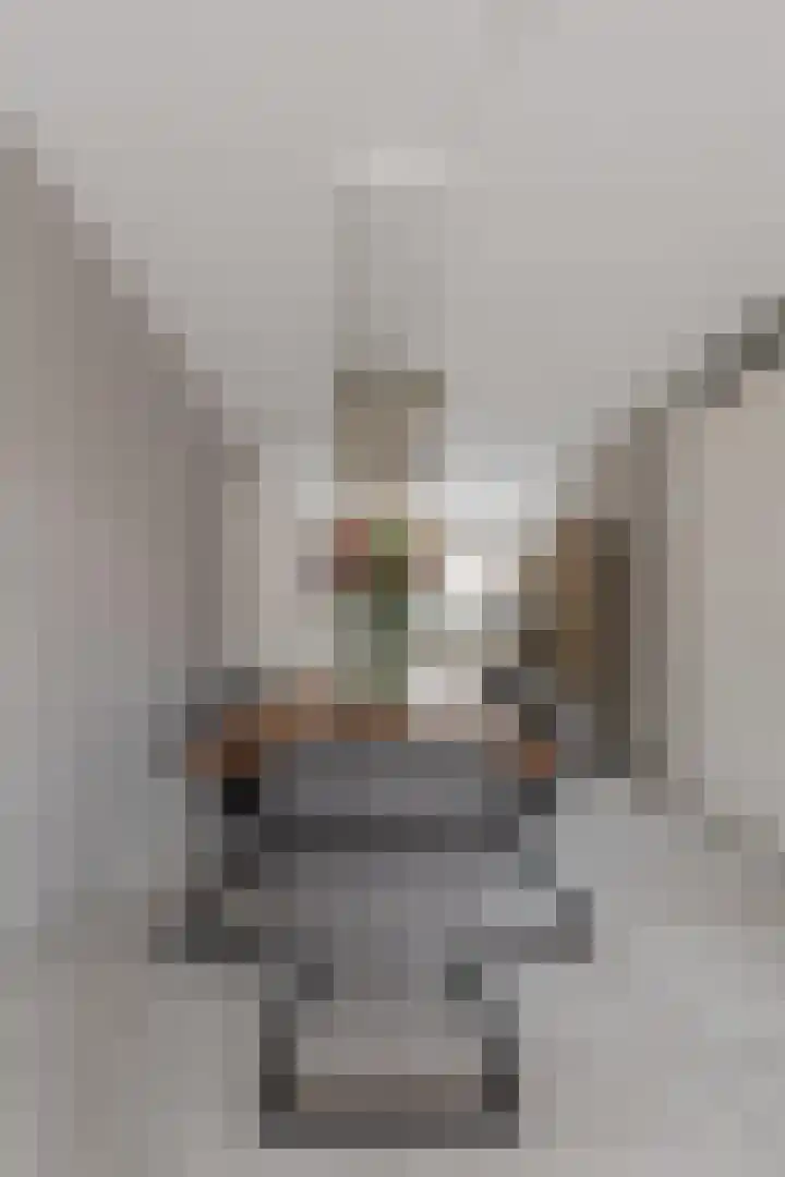 Draaitor 9 Hengelo thumbnail 17