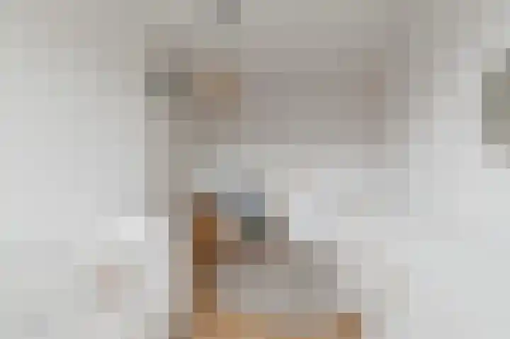 Draaitor 9 Hengelo thumbnail 24