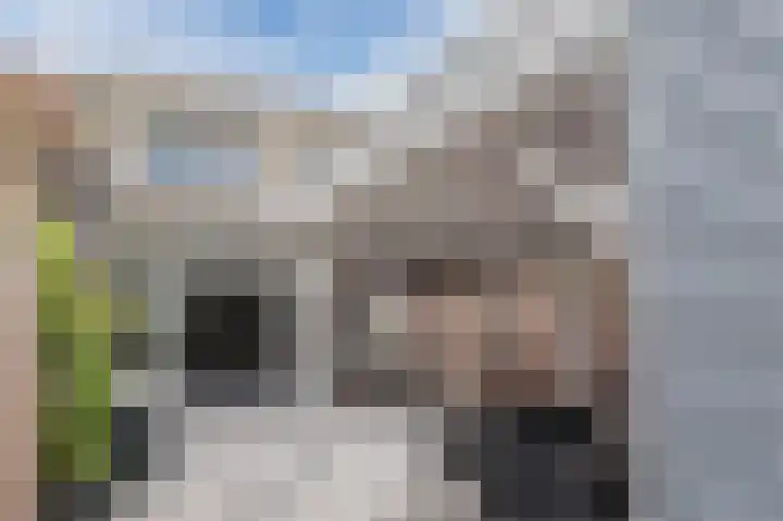 Draaitor 9 Hengelo thumbnail 37