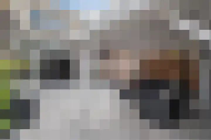 Draaitor 9 Hengelo thumbnail 38