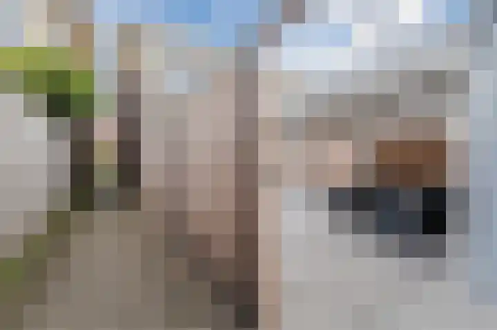 Draaitor 9 Hengelo thumbnail 40