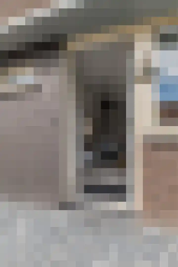 Draaitor 9 Hengelo thumbnail 43