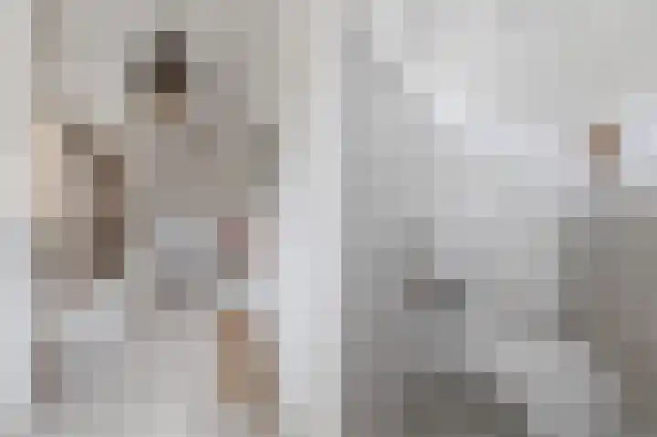 Draaitor 9 Hengelo thumbnail 6