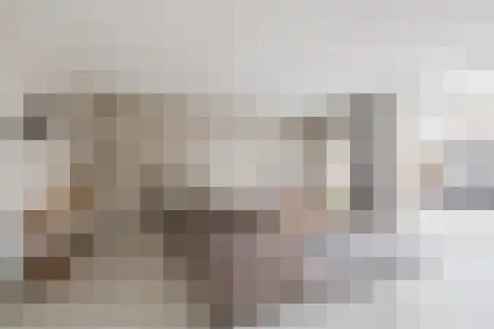 Draaitor 9 Hengelo thumbnail 8