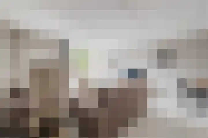 Draaitor 9 Hengelo thumbnail 9