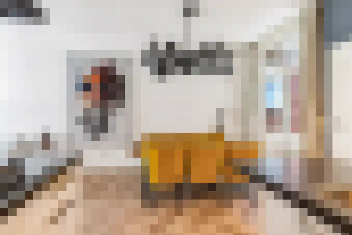 Draaiweg 105 Utrecht thumbnail 8