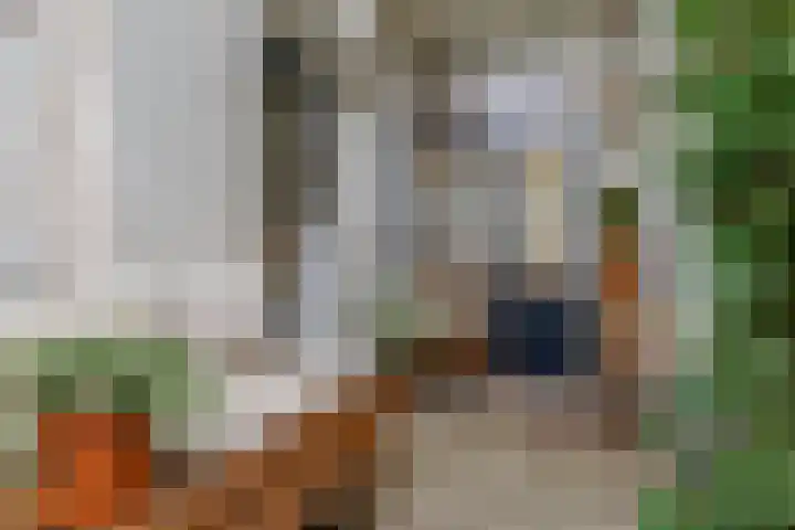 Draaiweg 109 Utrecht thumbnail 14