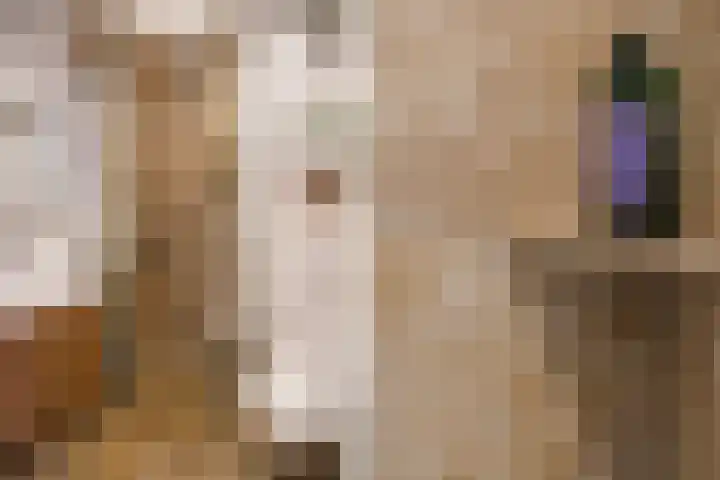 Draaiweg 109 Utrecht thumbnail 24