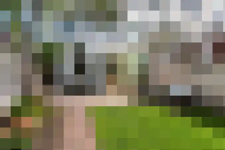 Draaiweg 11 Utrecht thumbnail 12