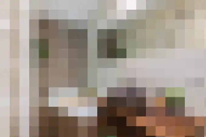 Draaiweg 11 Utrecht thumbnail 18