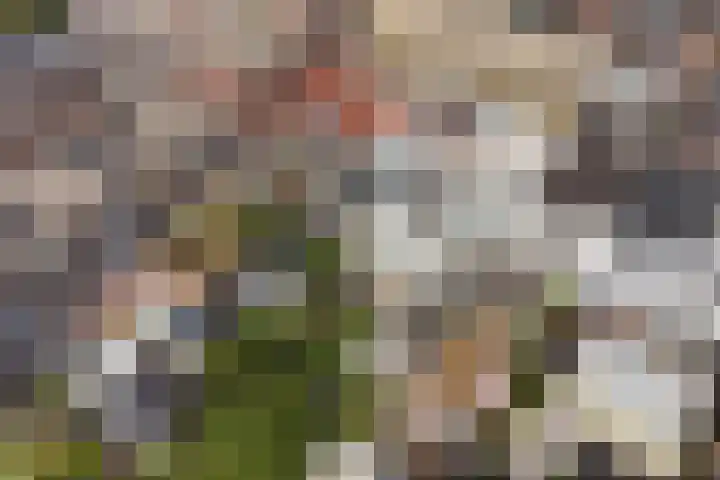 Draaiweg 11 Utrecht thumbnail 30