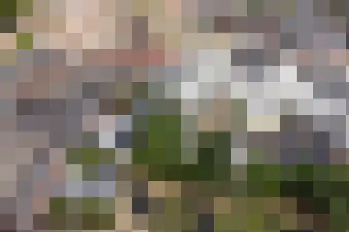 Draaiweg 11 Utrecht thumbnail 31