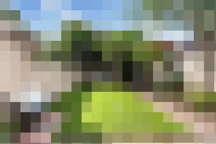 Draaiweg 11 Utrecht thumbnail 8