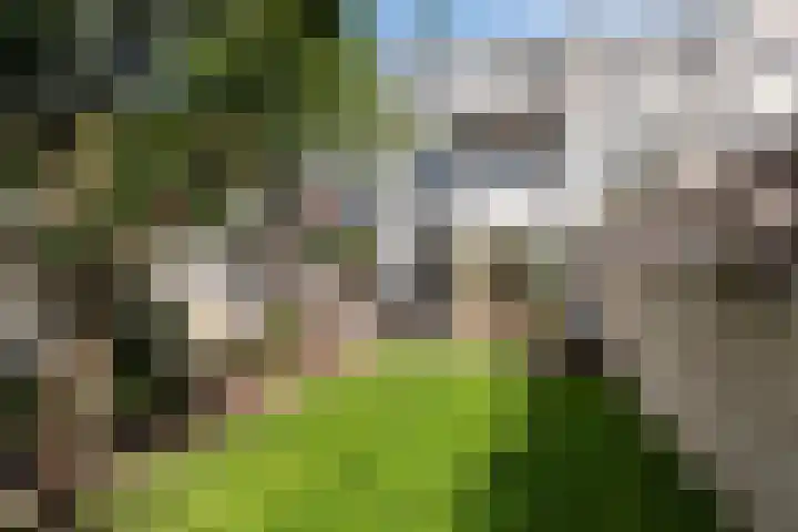 Draaiweg 11 Utrecht thumbnail 9