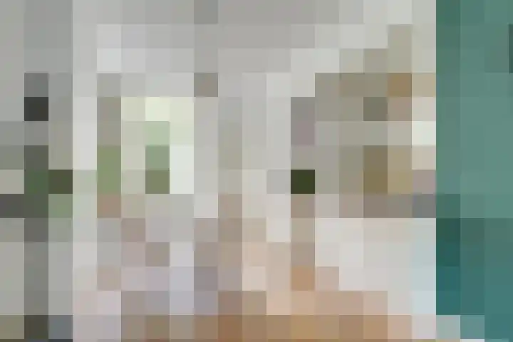 Draaiweg 117 Utrecht thumbnail 12
