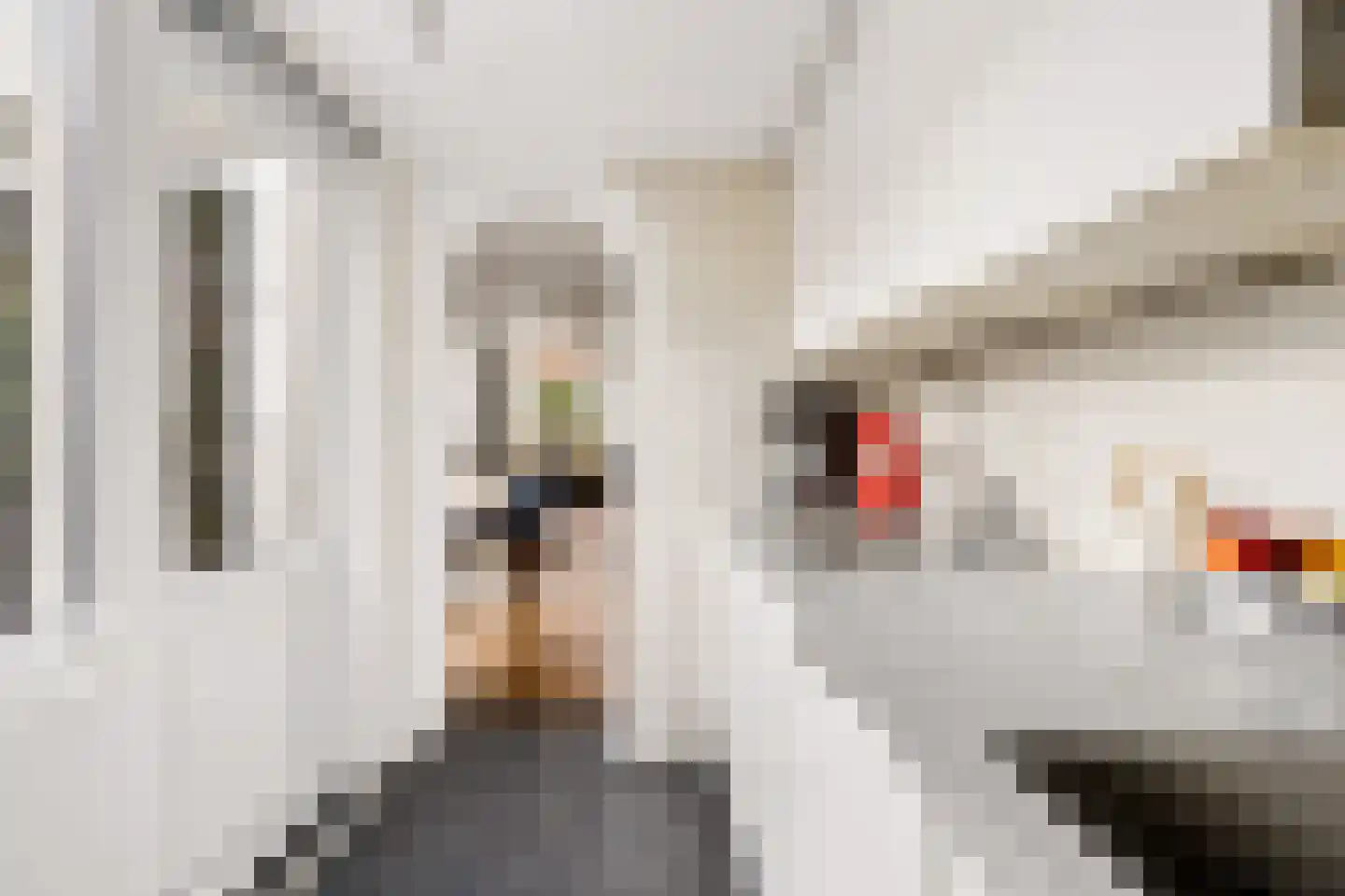 Draaiweg 131 Utrecht thumbnail 12
