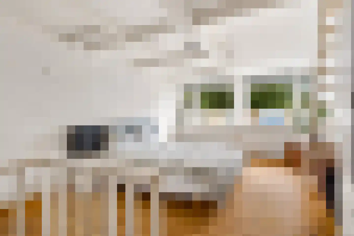 Draaiweg 131 Utrecht thumbnail 22