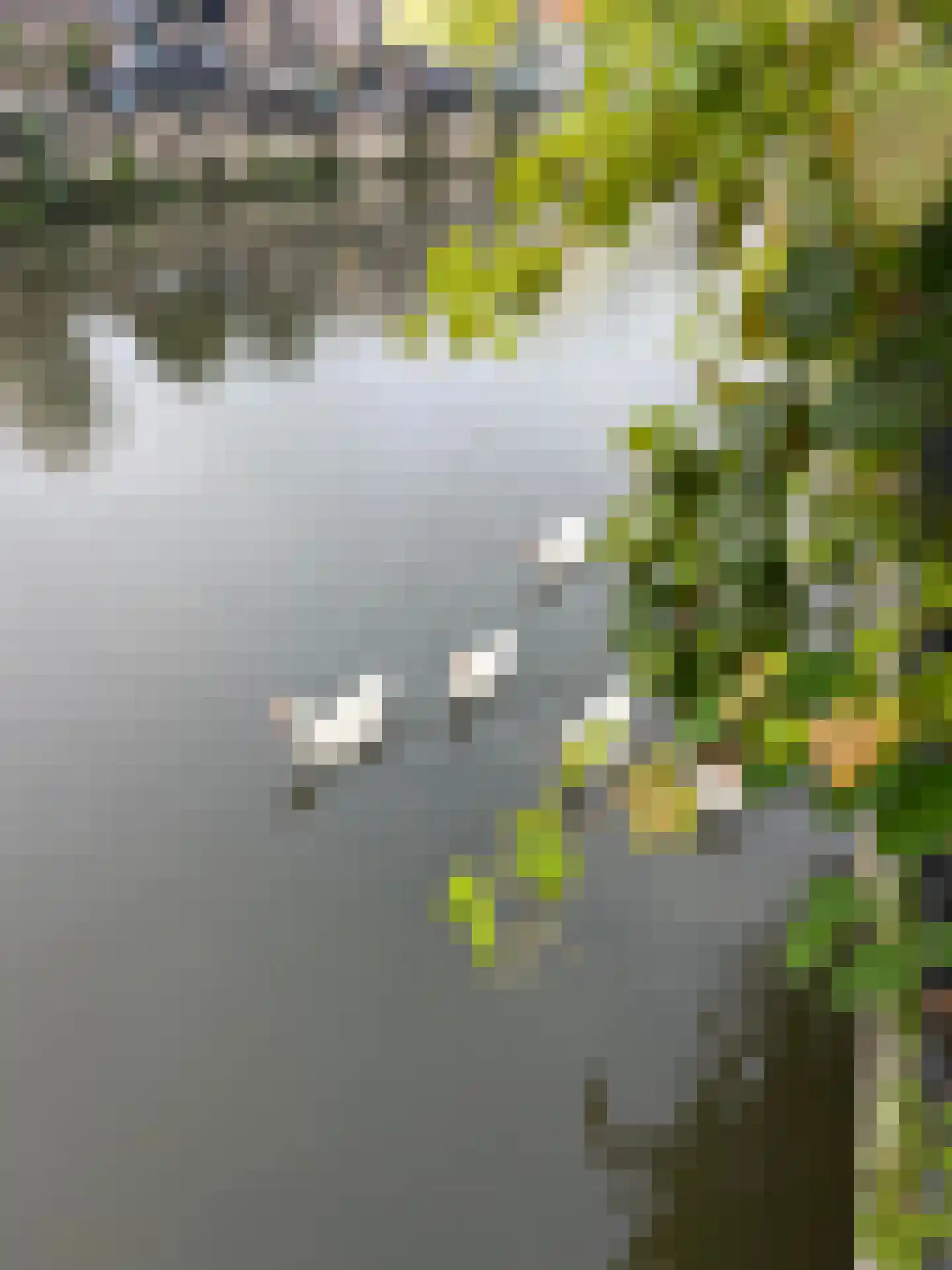 Draaiweg 2 B Utrecht thumbnail 40