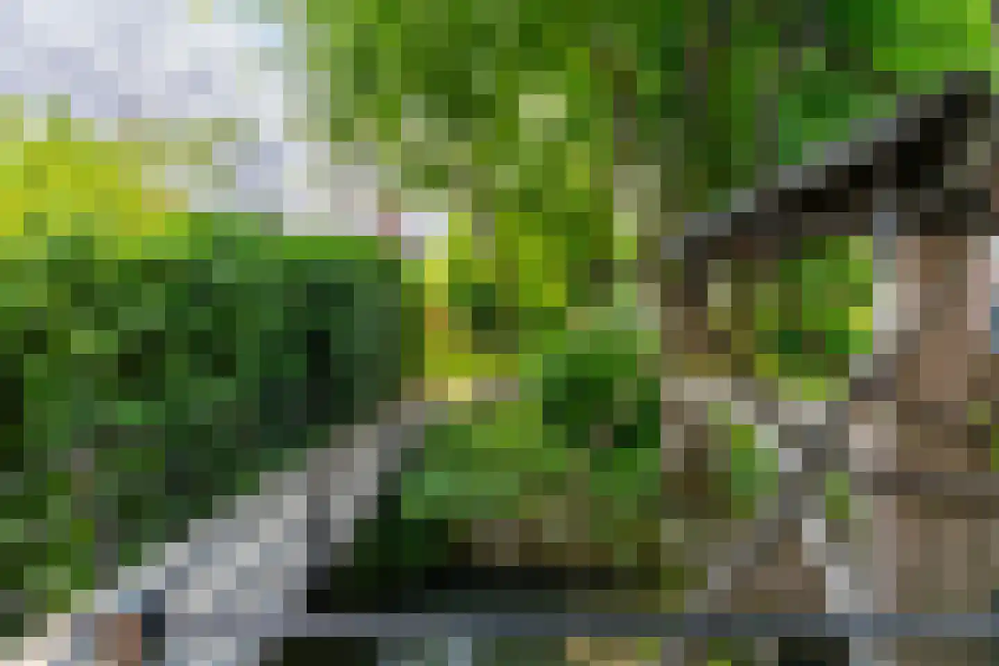 Draaiweg 37 Utrecht thumbnail 42