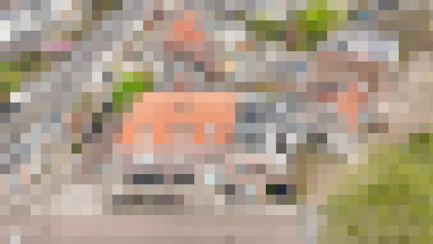Draaiweg 56 Utrecht thumbnail 56