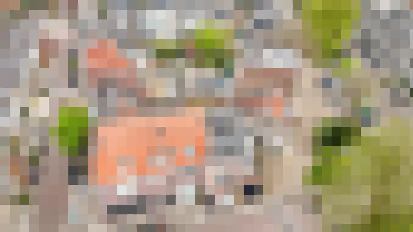 Draaiweg 56 Utrecht thumbnail 57