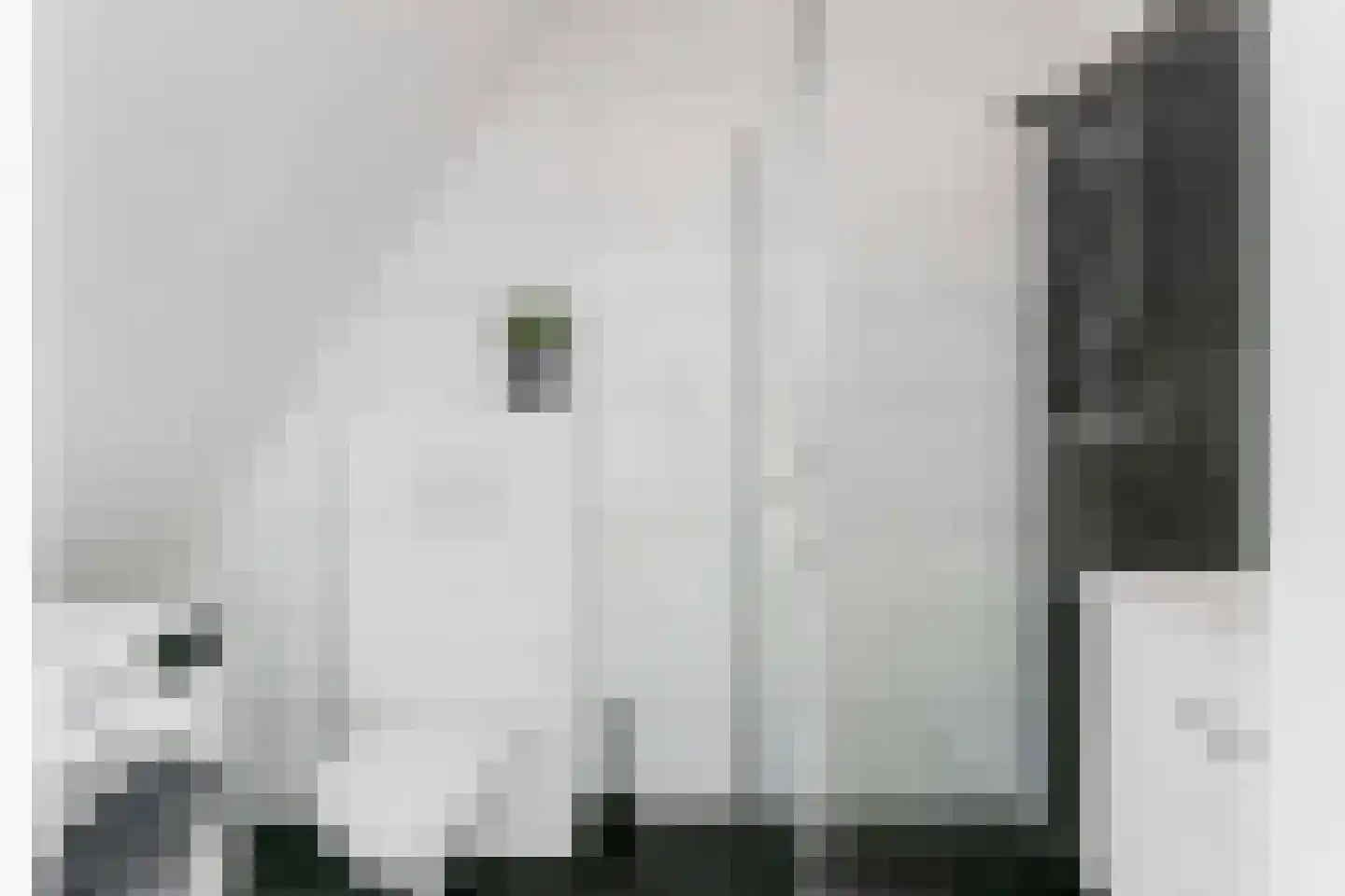 Draaiweg 7 C Utrecht thumbnail 13