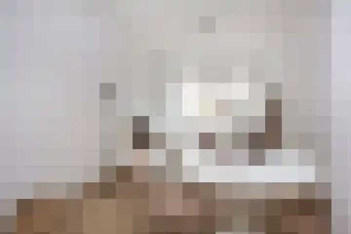 Draaiweg 7 D Utrecht thumbnail 6