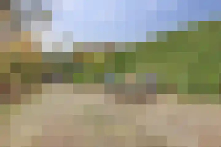 Draaiweide 12 Arnhem thumbnail 26