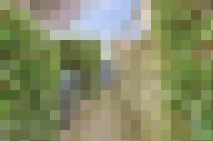 Draaiweide 12 Arnhem thumbnail 28