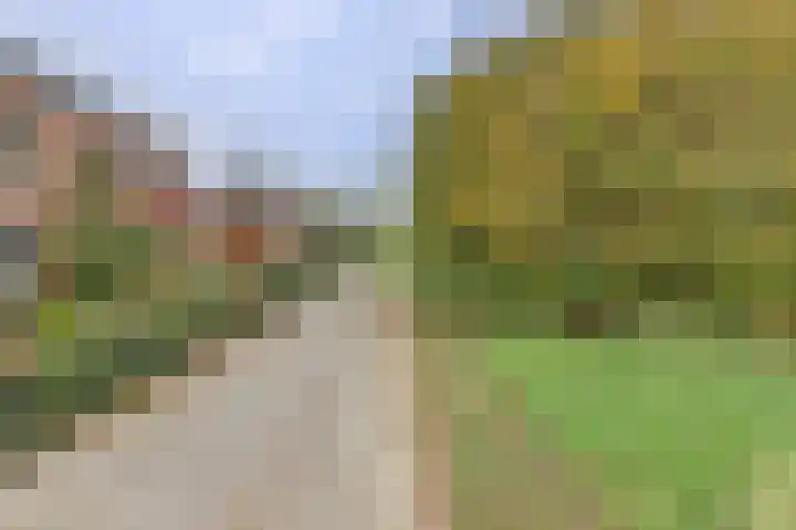 Draaiweide 12 Arnhem thumbnail 31