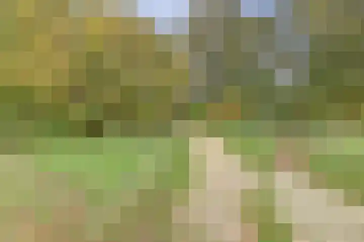 Draaiweide 12 Arnhem thumbnail 32