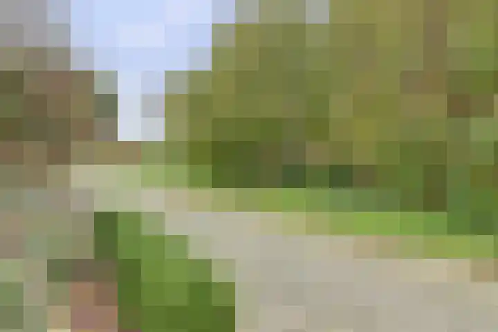Draaiweide 12 Arnhem thumbnail 33