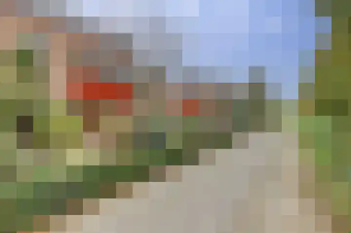 Draaiweide 12 Arnhem thumbnail 39