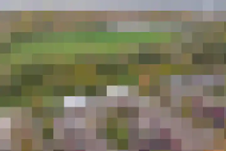 Draaiweide 12 Arnhem thumbnail 41