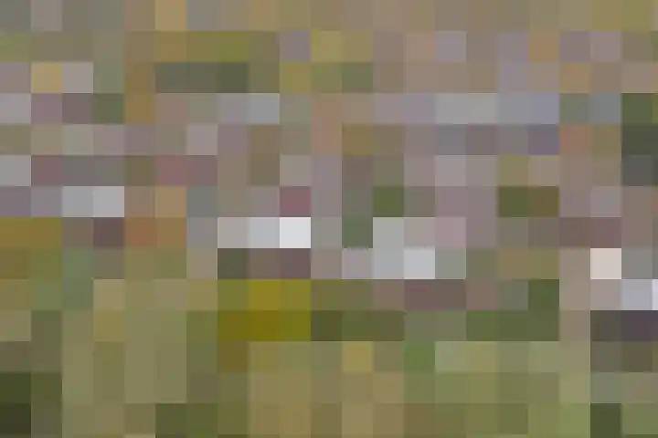 Draaiweide 12 Arnhem thumbnail 42