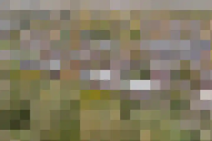 Draaiweide 12 Arnhem thumbnail 43