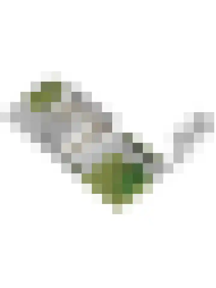 Draaiweide 12 Arnhem thumbnail 51