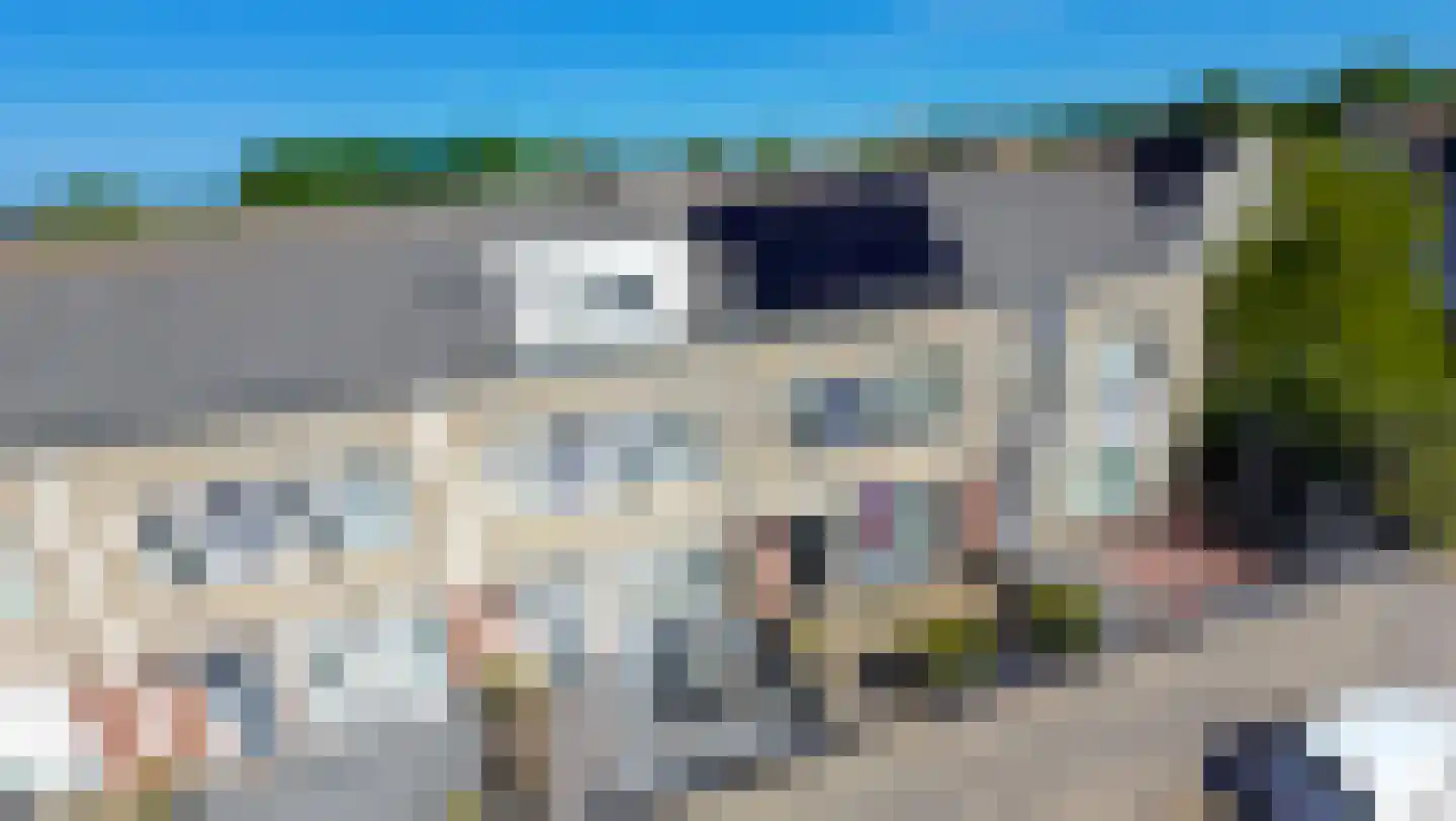 Draak 7 Medemblik thumbnail 5