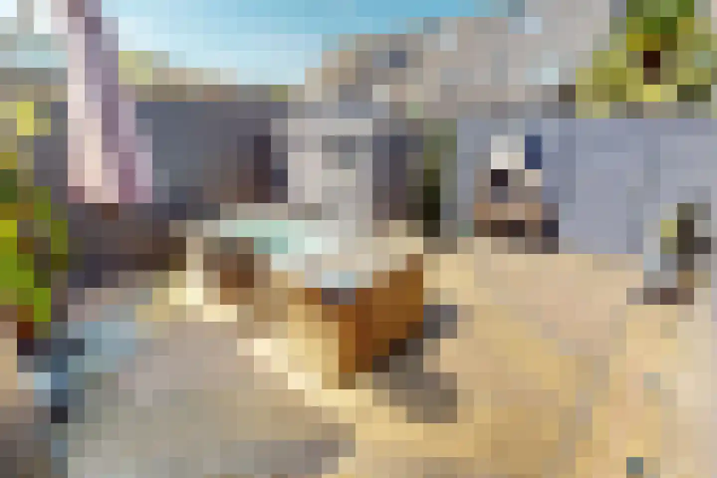 Draak 7 Medemblik thumbnail 56