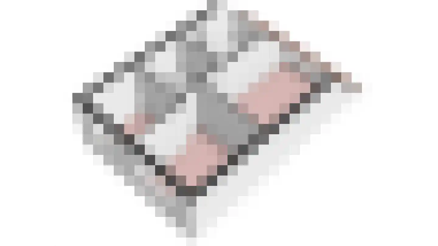 Draak 7 Medemblik thumbnail 69