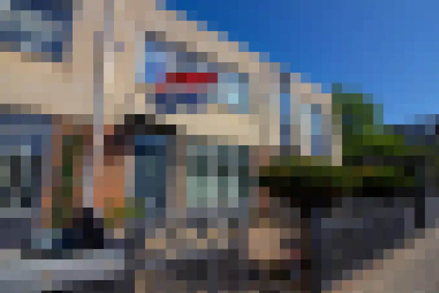 Draak 7 Medemblik thumbnail 7
