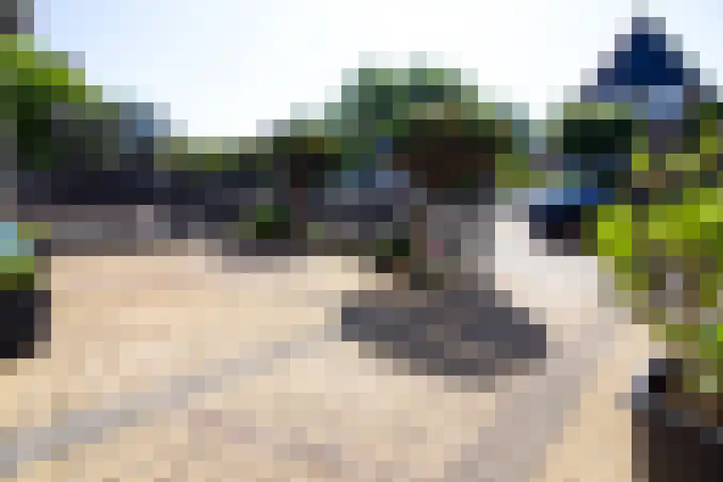 Draak 7 Medemblik thumbnail 8