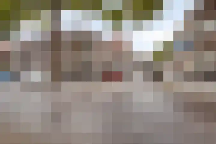 Drabbestraat 6 Bergen op Zoom thumbnail 47