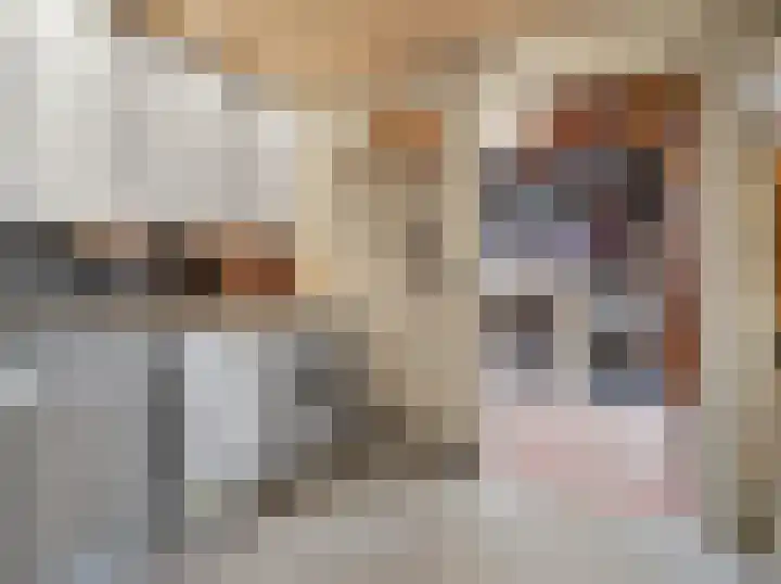 Drachmenruwe 21 Maastricht thumbnail 17
